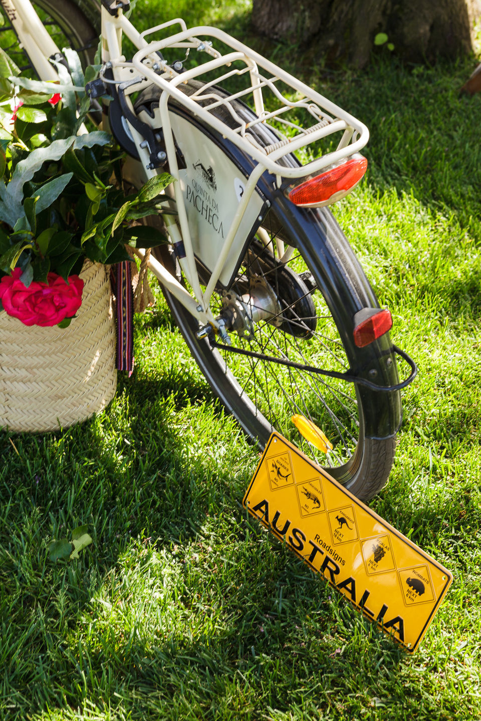 Foto rita+ashley - Imagem 1