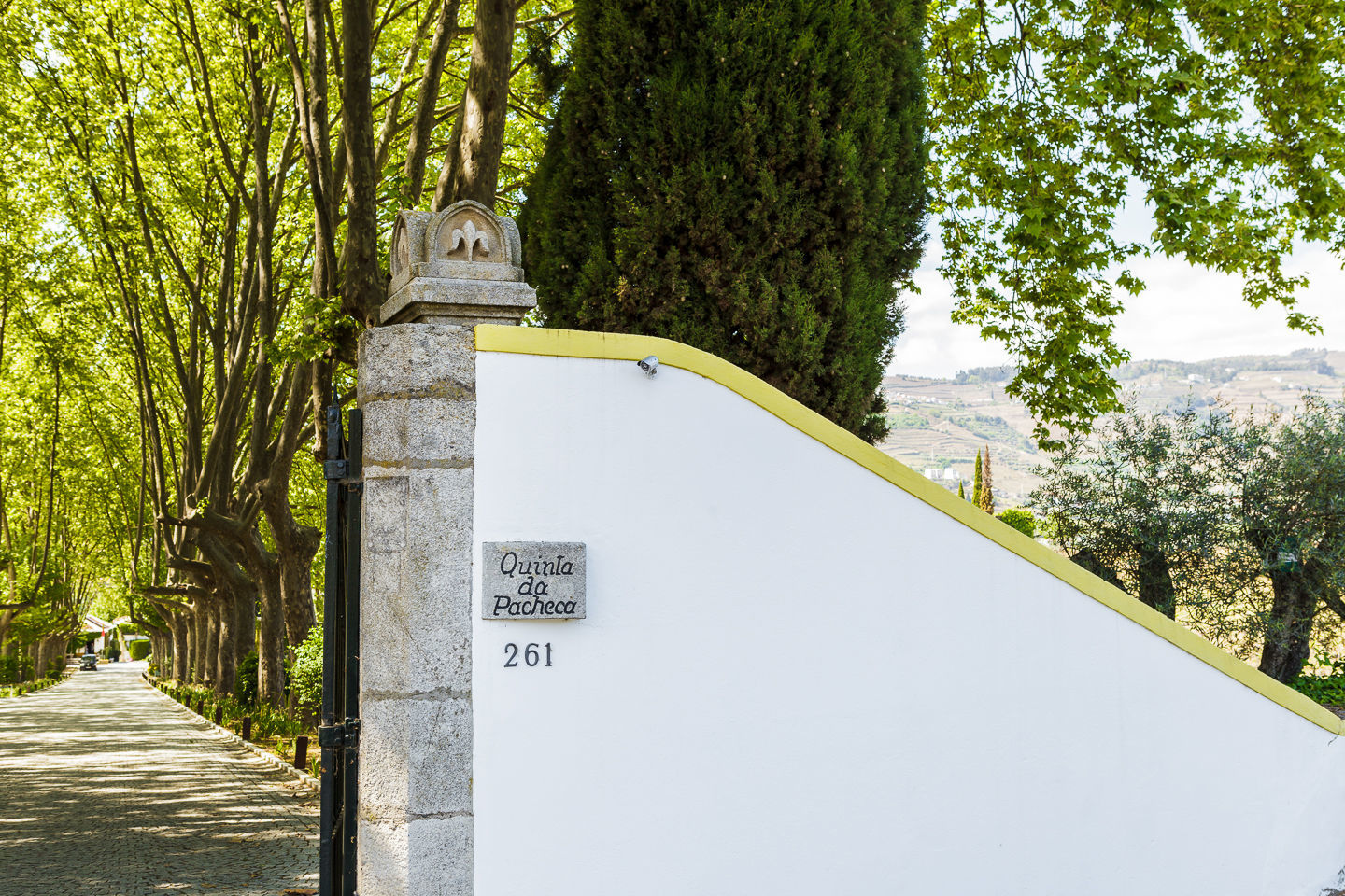 Foto rita+ashley - Imagem 0